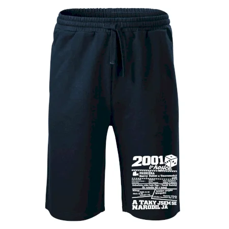 2001 v kostce