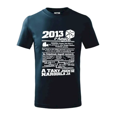 2013 v kostce