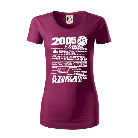 2005 v kostce