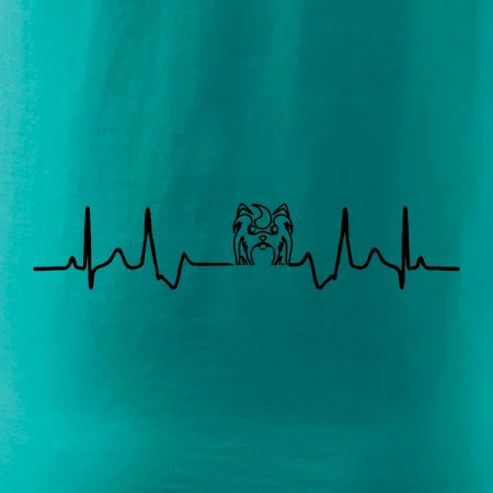 Shih-tzu ekg hlava