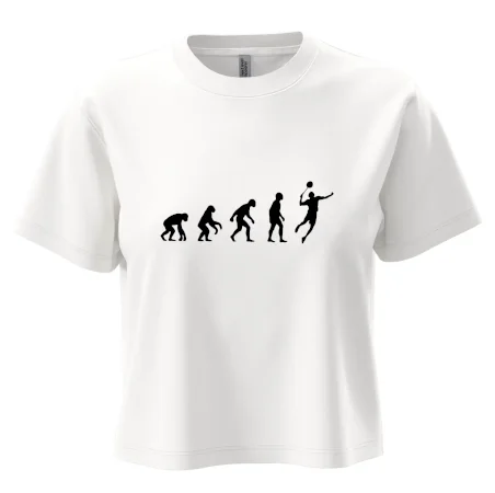 Evoluce Badminton