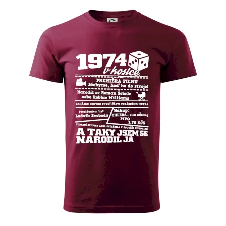 1974 v kostce