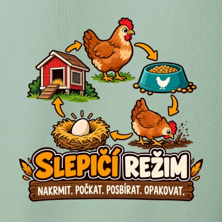 Slepičí režim od krmení po sběr vajec