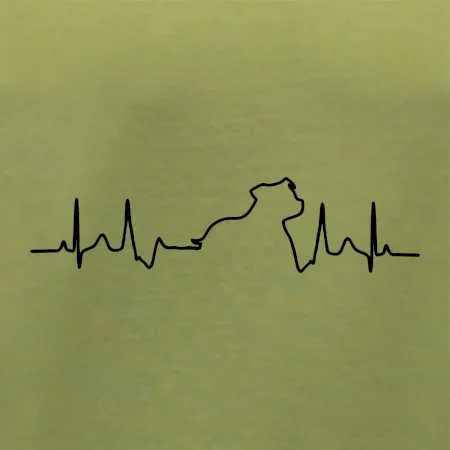 Stafordšírsky bulteriér EKG