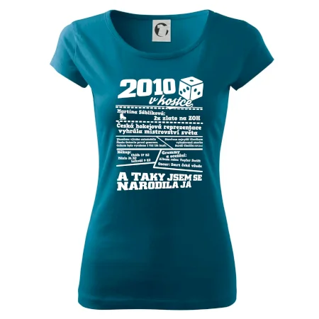 2010 v kostce