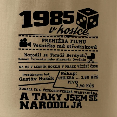 1985 v kostce