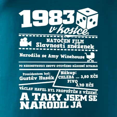 1983 v kostce