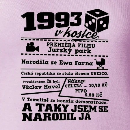 1993 v kostce