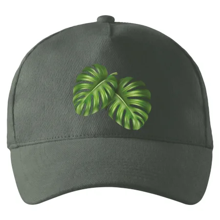 Monstera - dva listy