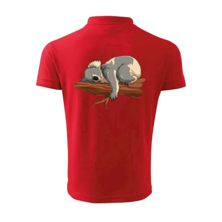 Koala na větvi