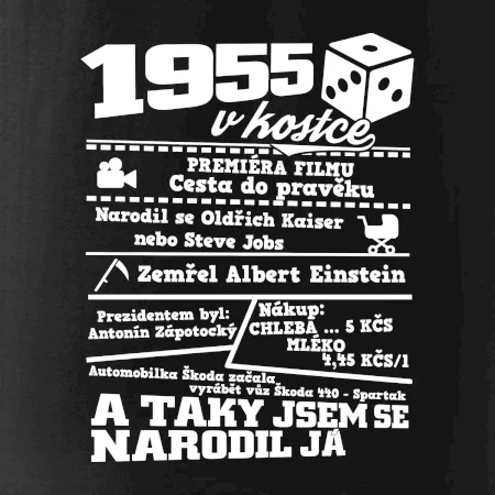1955 v kostce
