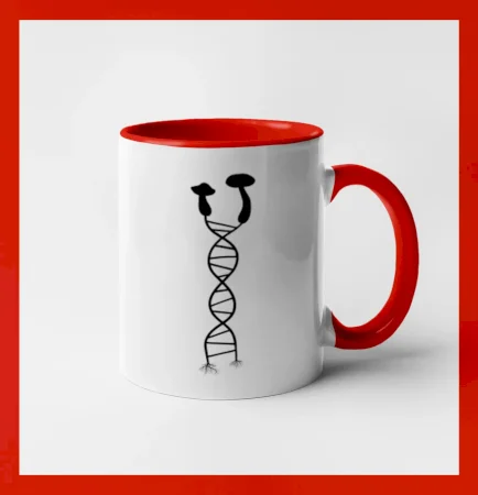 DNA houby