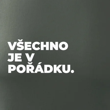 VŠECHNO JE V POŘÁDKU.