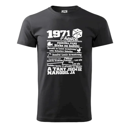 1971 v kostce