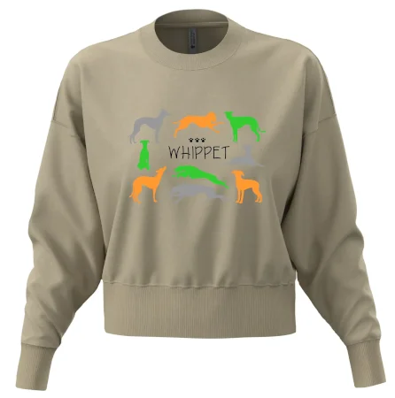 Whippet barevný