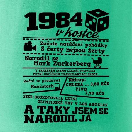 1984 v kostce