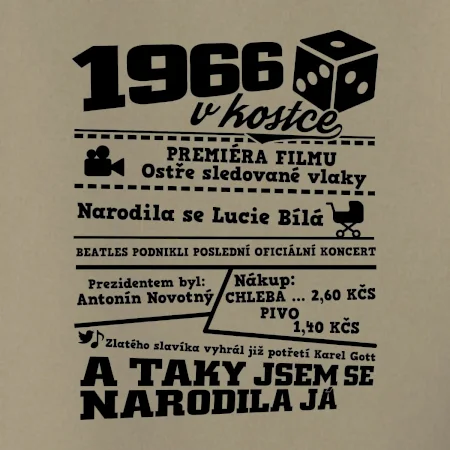 1966 v kostce