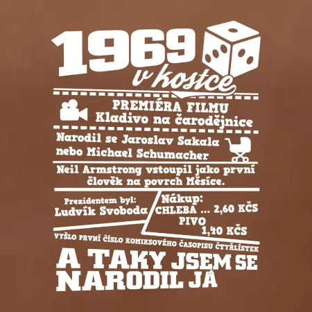 1969 v kostce