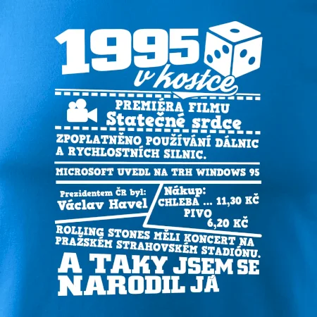 1995 v kostce