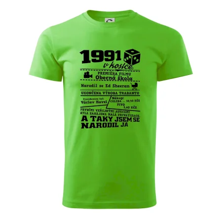 1991 v kostce