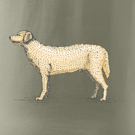 Vintage Labrador
