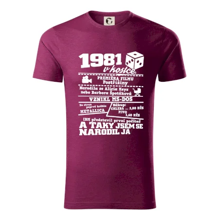 1981 v kostce