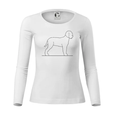 Lagotto romagnolo stojící