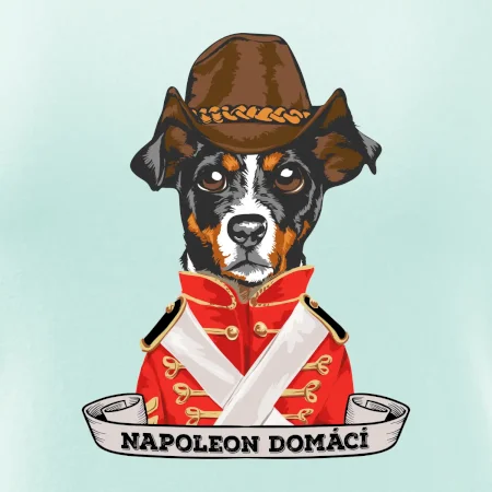 Napoleon domácí pes kříženec