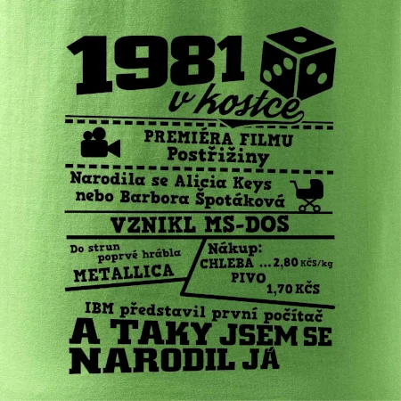 1981 v kostce