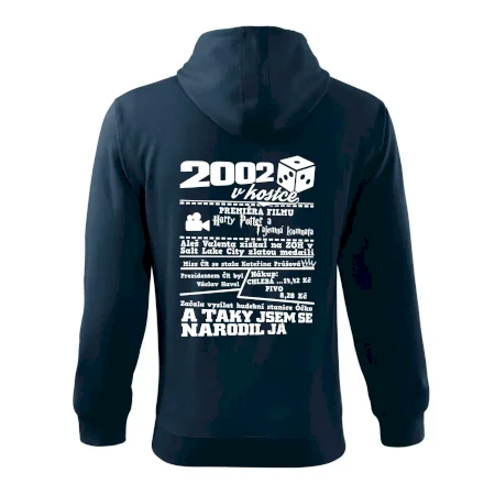 2002 v kostce