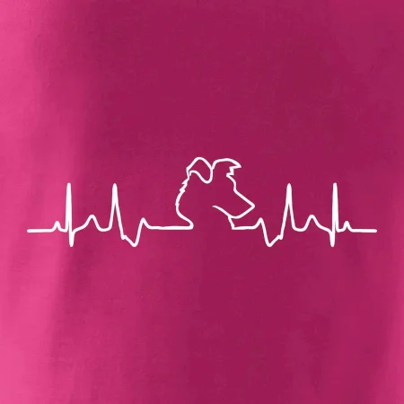 Border kolie EKG