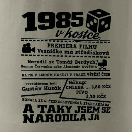 1985 v kostce