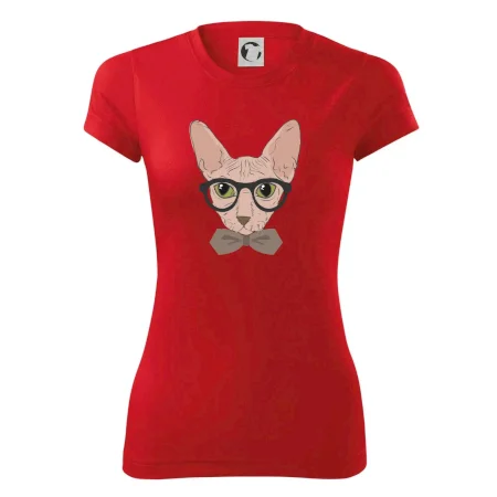 Hipster sphynx