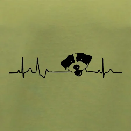 Jack Russell Terriér hrubosrstý Ekg