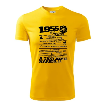 1955 v kostce