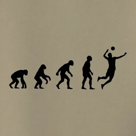 Evoluce volejbal smeč