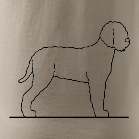 Lagotto romagnolo stojící