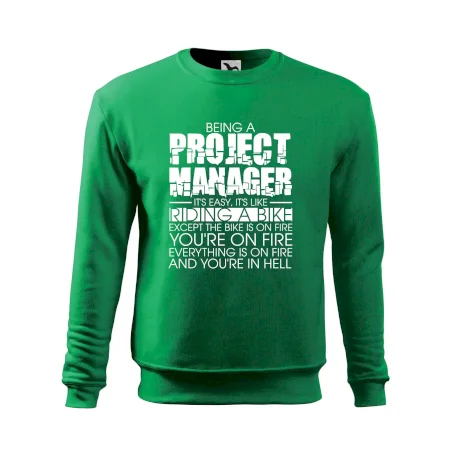 Being A Project Manager - bike