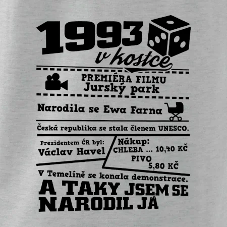 1993 v kostce