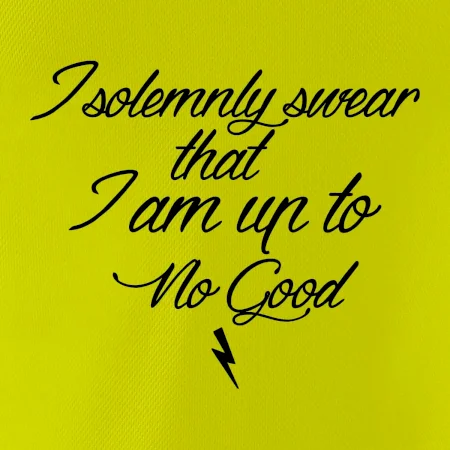 I solemnly swear that I'm up to no good