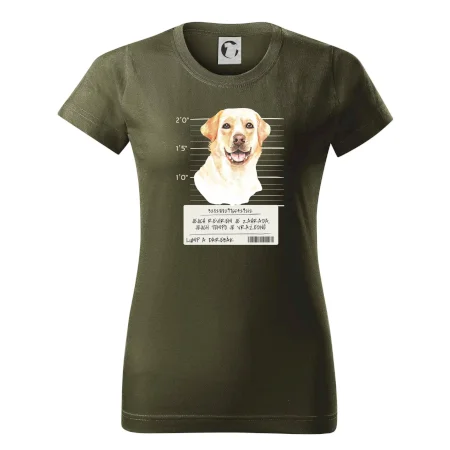 Lump a darebák labrador