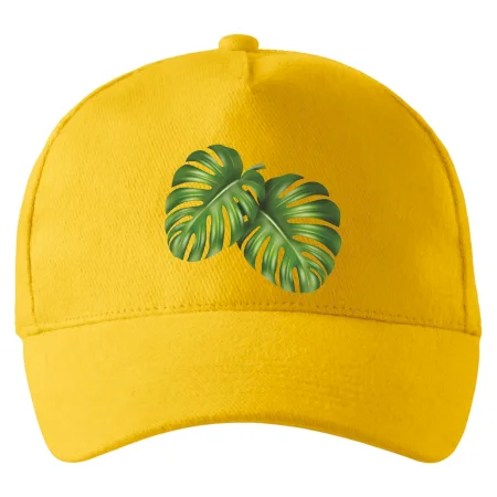 Monstera - dva listy
