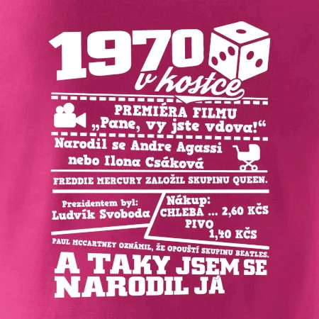 1970 v kostce