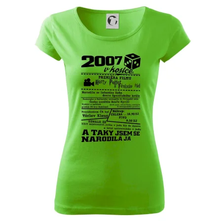 2007 v kostce