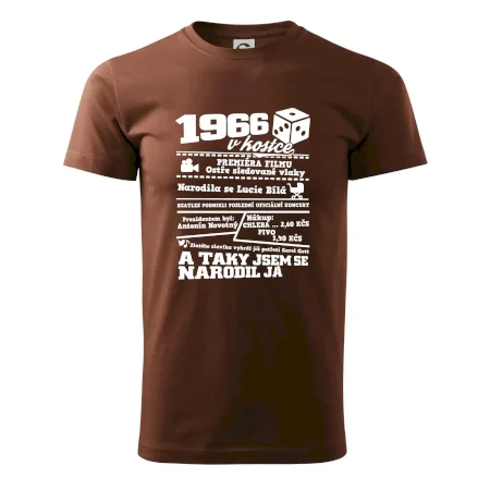 1966 v kostce