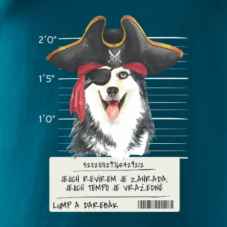 Lump a darebák husky