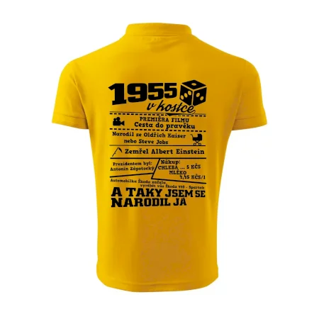 1955 v kostce