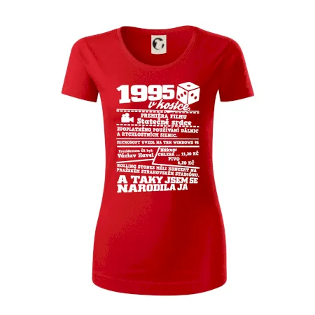 1995 v kostce