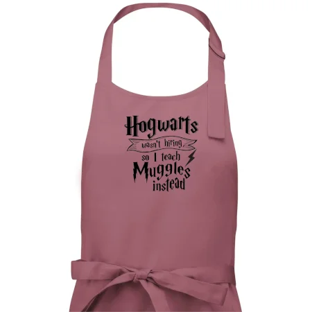 Harry - Hogwarts wasn’t hiring, so I teach Muggles instead