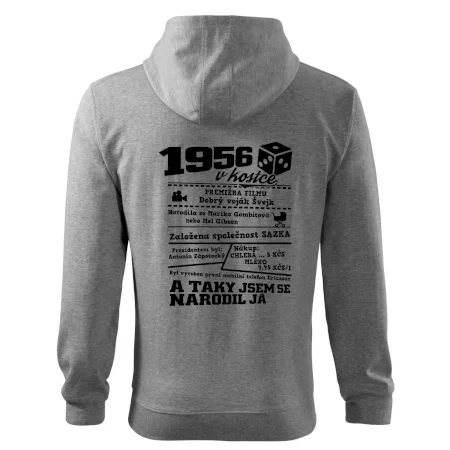 1956 v kostce